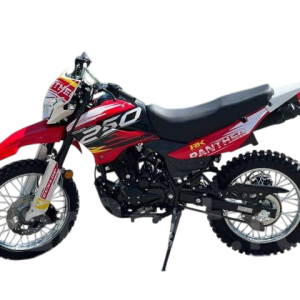 Мотоцикл Racer RC250GY-C2 Panther (красный) (Россия)