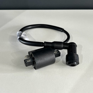 CKA0137 Катушка зажигания