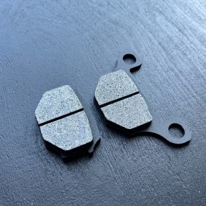 PAN2195 Задние тормозные колодки