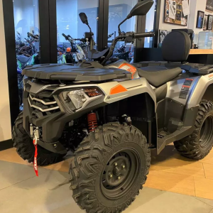 Квадроцикл Loncin XWOLF 300 (TRV350PRO) (SILVER GRAY, Max, 2026)